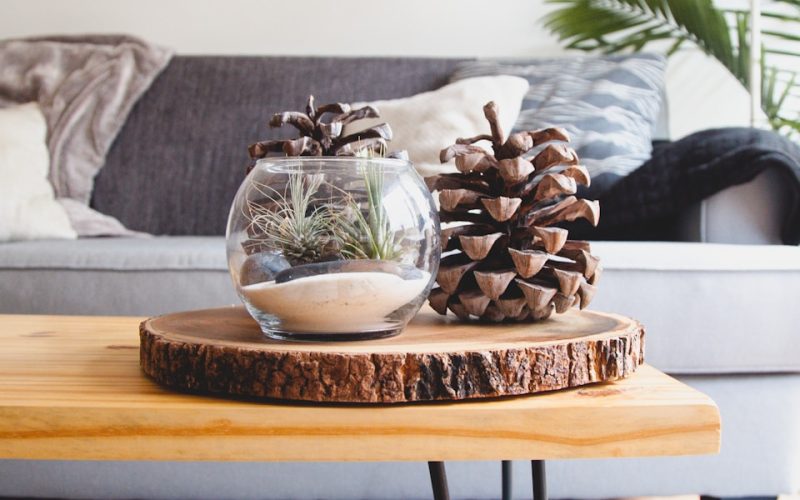 clear fishbowl beside pine cones on brown wooden table