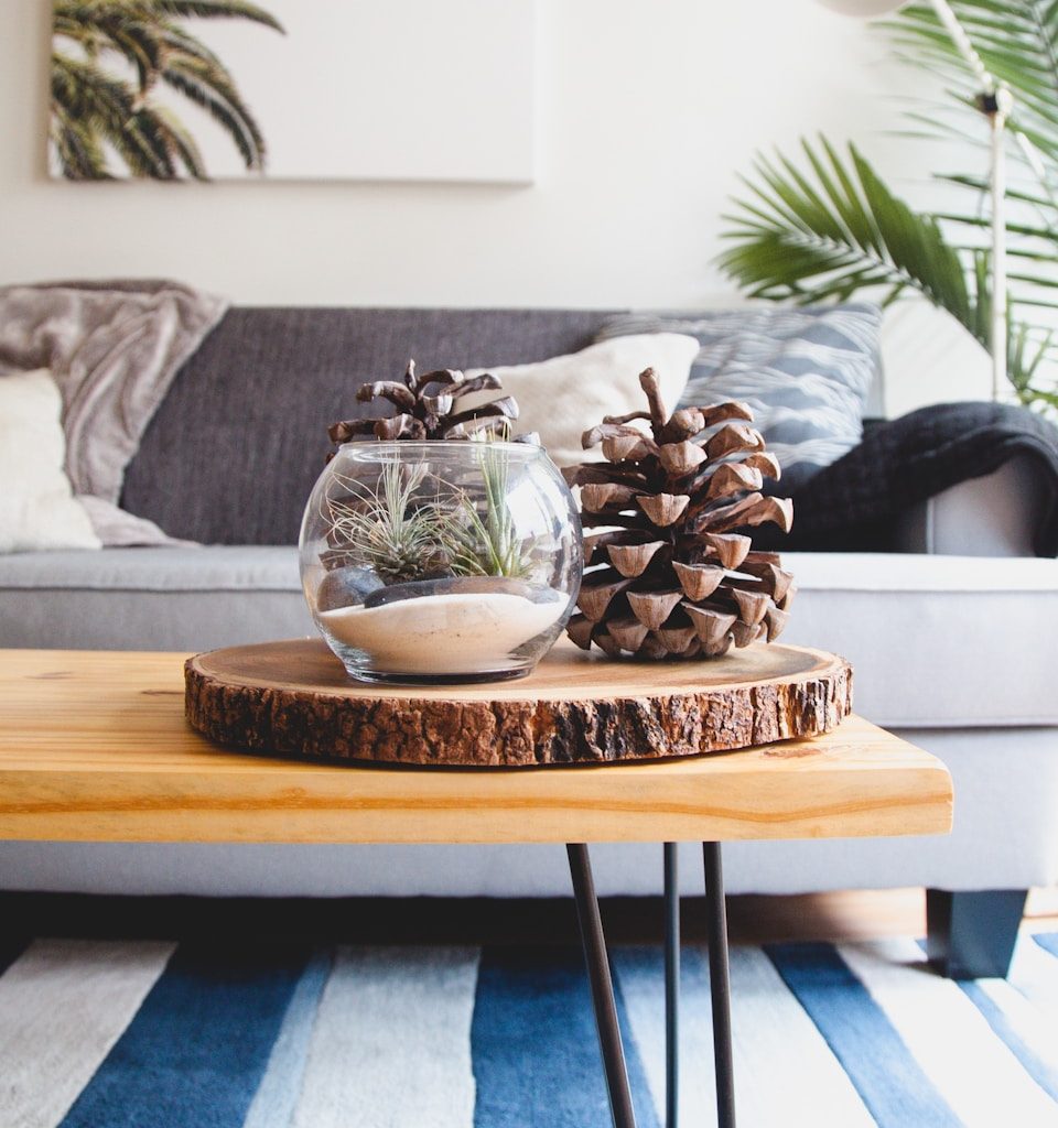 clear fishbowl beside pine cones on brown wooden table