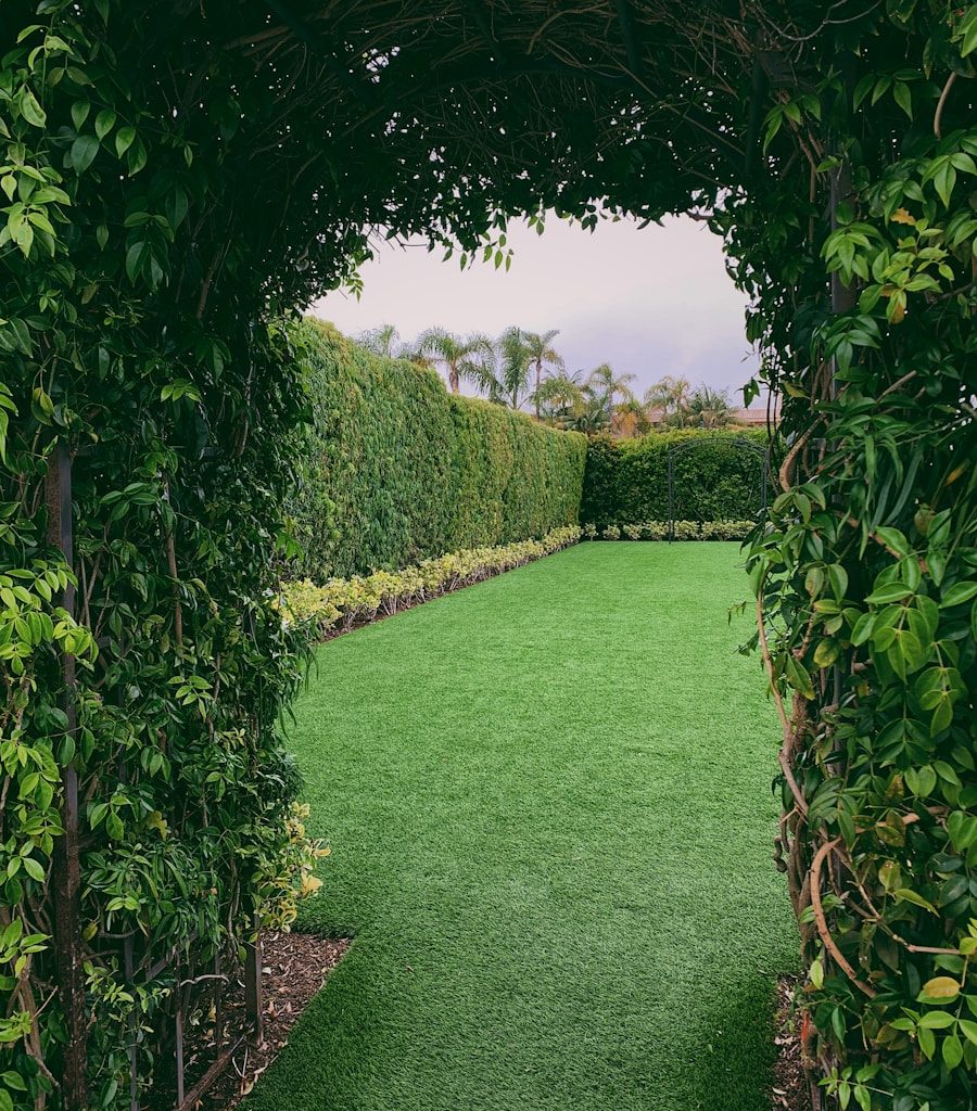 green-leafed plant arch