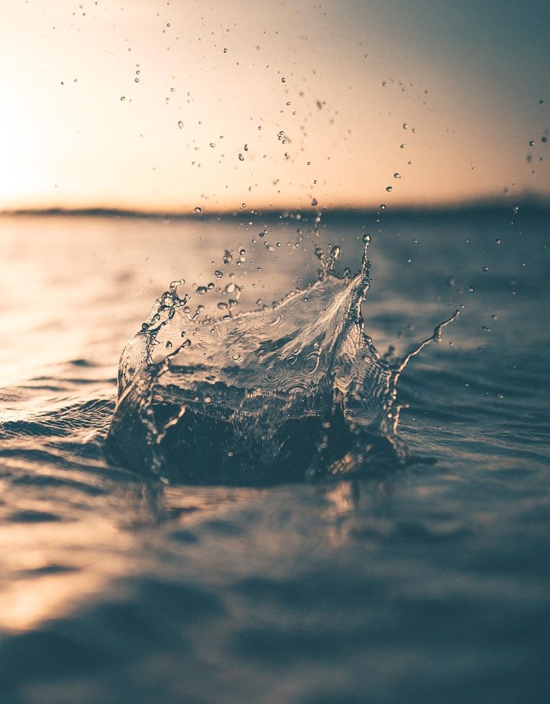 selective focus photography of water splash